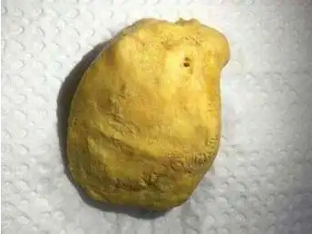 湖州现金上门羊宝行情分析